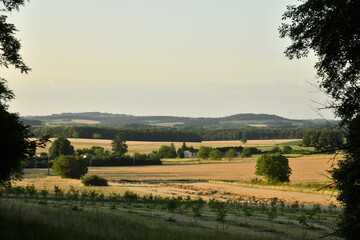 Paysage rural entre champs de blé et bois sous un ciel clair en fin de journée près du bourg de Champagne au Périgord Vert  © Photocolorsteph