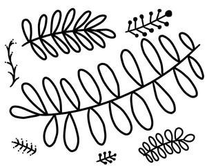 various kind of leaves 