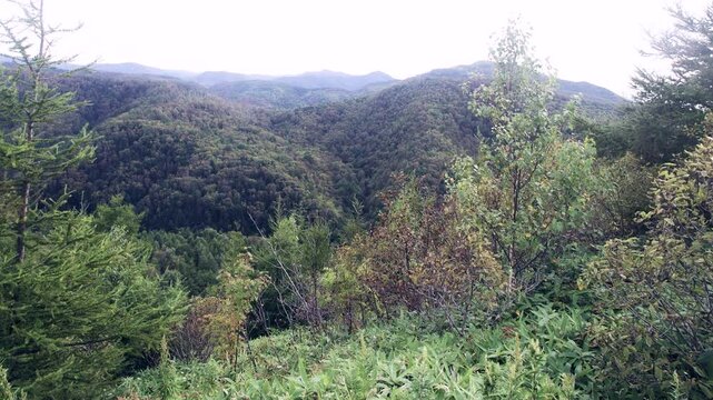 West Sakhalin Mountains, hill country. The rolling old mountains on Sakhalin Island are covered with silver fir-spruce taiga forest, southern part, the Sea of Japan adjacent. Far East Russia