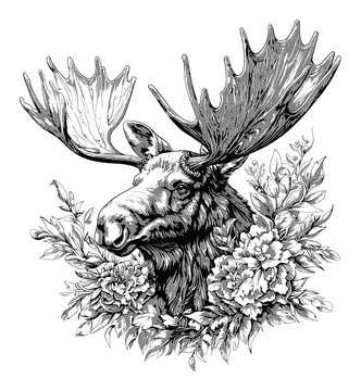 Majestic Moose Surrounded by Beautiful Floral Elements in Black and White