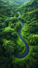 Winding road through lush green jungle