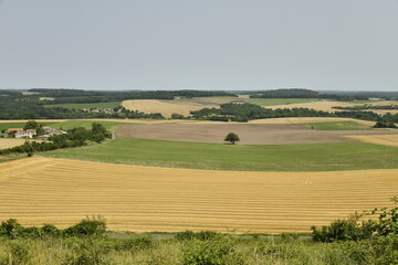 Obraz premium Vaste champ de blé vu depuis la colline du château-fort de Villebois-Lavalette en Charente 