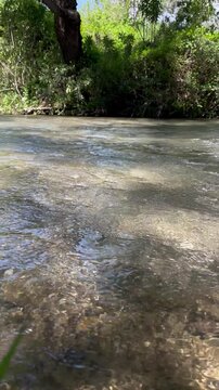 river in the woods
