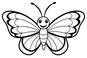 butterfly on white background