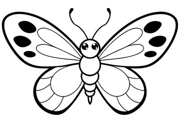 butterfly on white background