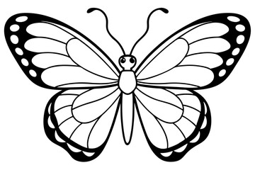 butterfly on white background