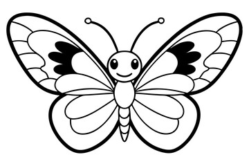 butterfly on white background