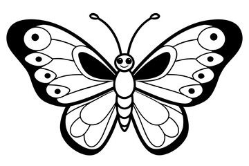 butterfly on white background