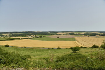 Vaste champ de blé vu depuis la colline du château-fort de Villebois-Lavalette en Charente 