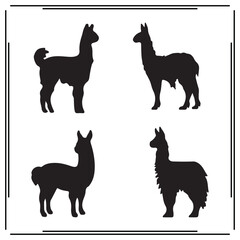 Llama silhouette, Llama illustration , Llama clipart, Llama vector , Llama icon , black Llama, Llama illustration on white background, Llama vector illustration ,