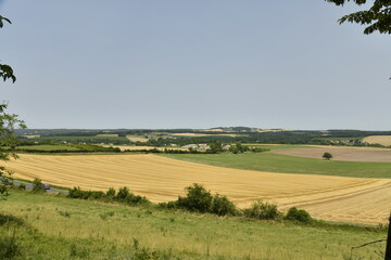 Lignes dans un champ de blé après moisson au pied de la colline du château médiéval à...
