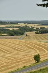 Fototapeta premium Lignes dans un champ de blé après moisson au pied de la colline du château médiéval à Villebois-Lavalette en Charente 