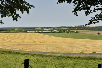 Lignes dans un champ de blé après moisson au pied de la colline du château médiéval à...