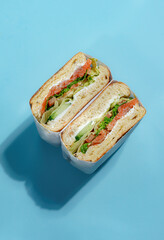 Cut Sandwich with Chicken and Vegetables on Blue Background