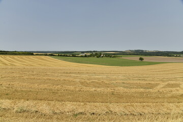 Lignes dans un champ de blé après moisson au pied de la colline du château médiéval à...