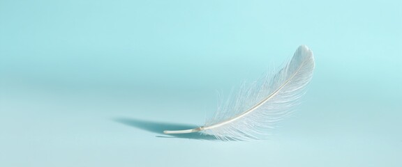 Obraz premium Elegant White Feather with Black Pattern on Vibrant Blue Background