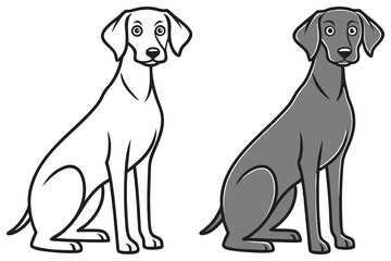 Weimaraner dog sits, with a blank version alongside the gray hued canine, and has transparent background