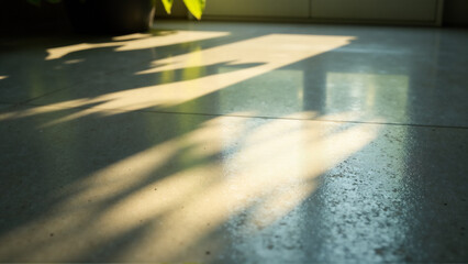 Dappled Sunlight Floor Pattern Plants