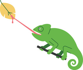 Fototapeta premium Chameleon with Long Tongue Catching Insect on Branch Ideal Vector Illustration for T-shirt Printing Projects