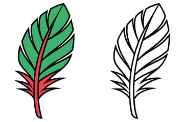 Vibrant green and red feather stands beside its monochrome outline on transparent background