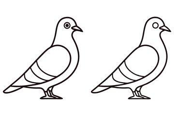 Two outlined pigeon sketches stand side by side on a white transparent background