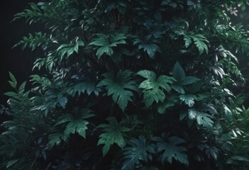 Intricate dark foliage, rich emerald & sapphire hues, sapphire, botanical, illustration