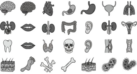 Anatomical Illustrations of Human Organs and Body Parts in Monochrome Style