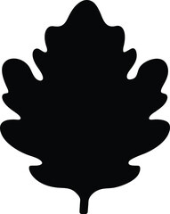 oak leaf vector silhouette and illustration