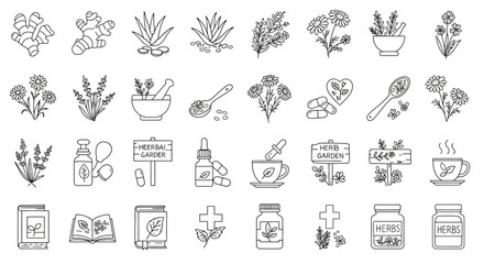 Herbal medicine line art icons ginger aloe chamomile lavender and books