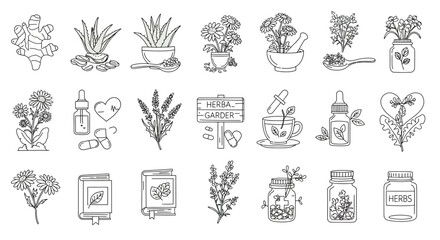 Herbal medicine icons ginger aloe vera chamomile lavender pills and books
