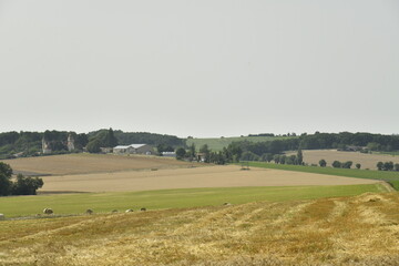 Obraz premium Paysage rural à parcelles et bois près de Villebois-Lavalette en Charente 