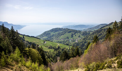 Obraz premium Swiss mountain. Hiking in Caux