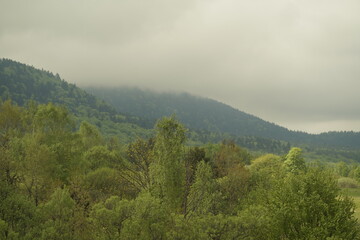 fog in the mountains