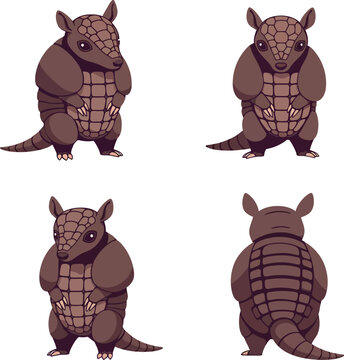 Armadillo vector illustrations set for tshirt printing and craft projects with detailed textures 