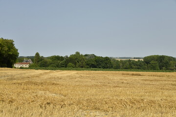 Champ de blé après moisson sous un ciel bleu près du bourg de Champagne au Périgord Vert 