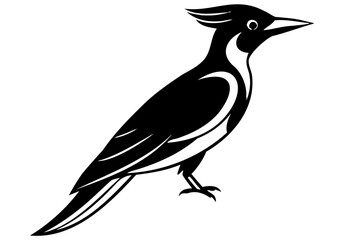 Illustration of a black and white jay bird perching on a branch vector drawing design element art graphic isolated on transparent background