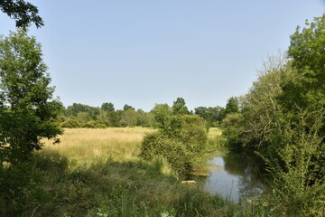 La Lizonne coulant paisiblement dans la végétation sauvage près du bourg de Champagne au Périgord Vert  © Photocolorsteph