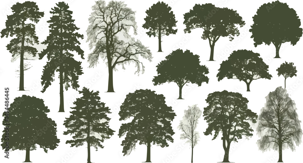 Poster silhouette tree collection in black with diverse deciduous species each drawn with distinct branchin