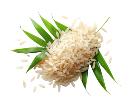 Fresh, raw rice with green leaves in background.