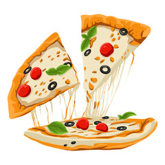 vector illustration of pizza
