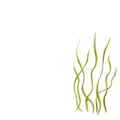 png drawing of sea ocean voyage - seaweed