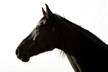 Close up Silhouette of a Horse Head Against Bright Background Generative AI
