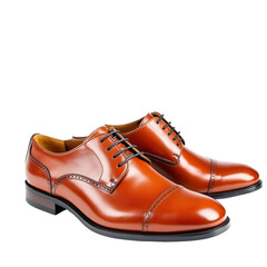Pair of Dress Shoes on Transparent Background