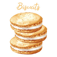 biscuits in watercolor illustration style, isolated vector on white background