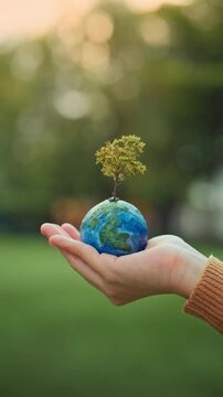 World environment day, B roll - hands of woman holding globe with tree on green tree bokeh background, ecology concept, earth day, Better Environment