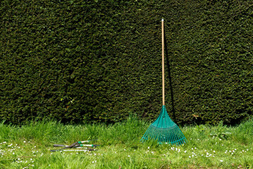 Lawn rake with pruning shears on the left