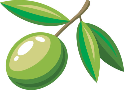 A vibrant vector art illustration of a mamoncillo (Spanish lime) fruit, showcasing its green outer skin and juicy tropical interior.