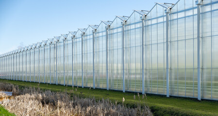 the green house from outside in Netherlands