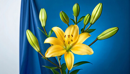 Obraz premium Vibrant Yellow Lily Flower Bloom Photography
