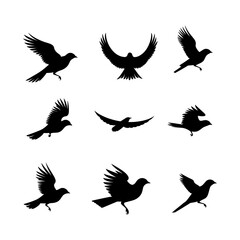 Obraz premium Soaring Bird Silhouette Illustration set clipart